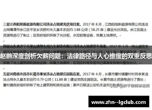 赵鹏深度剖析欠薪问题:法律路径与人心维度的双重反思 赵鹏深度剖析欠薪问题:法律路径与人心维度的双重反思